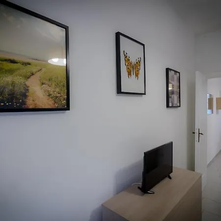 Nest * Sorrent